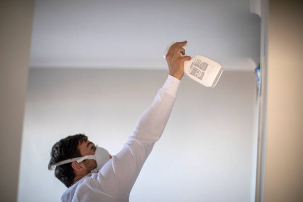 Best Mold Remediation  in Crompond, NY