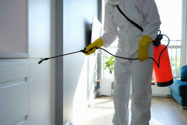 Best Toxic Mold Removal  in Crompond, NY