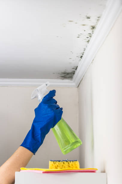 Best Mold Cleaning Services  in Crompond, NY